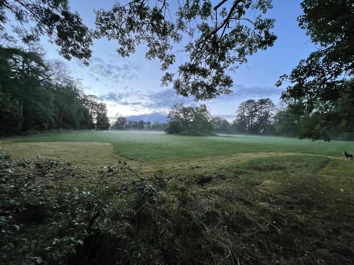Chateau Du Grand Lucay Bourbon-lʼArchambault Exteriér fotografie